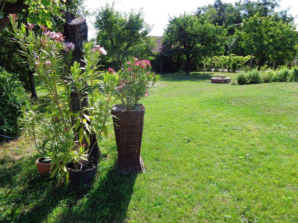 Fueloep Villa Apartmanhaz Balatonszepezd Exterior foto